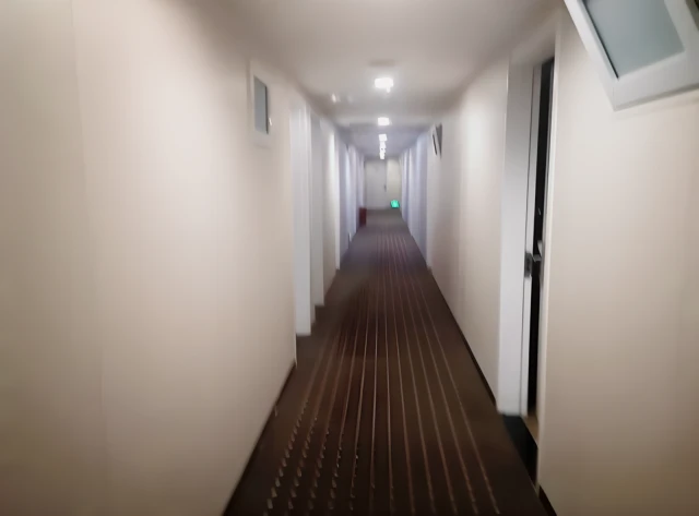 Bafangke Hotel 4