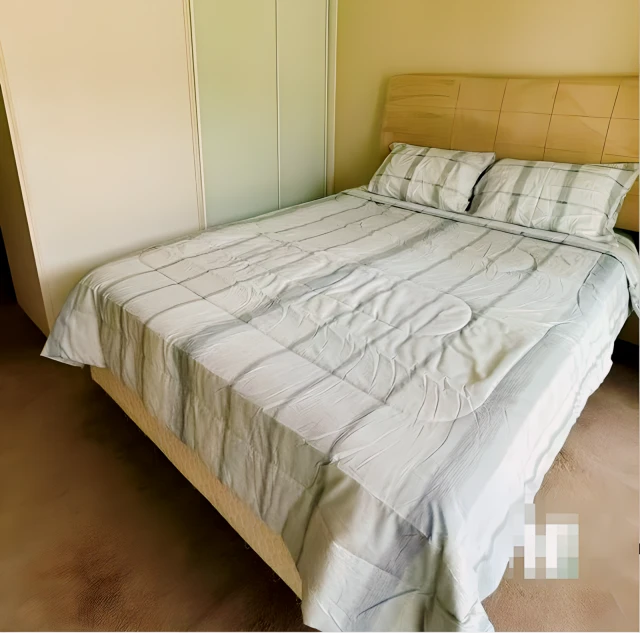 175 Avoca St 4