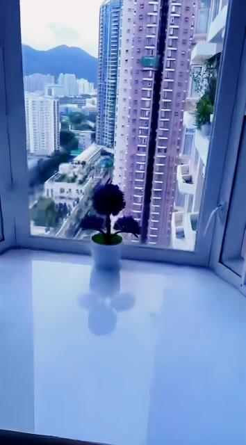 Block 8, Jubilee Garden, Fo Tan 4