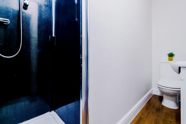 33 Elmsthorpe Avenue 3