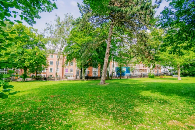 The Oval 3