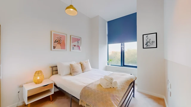 Goodman Street 28016# 3