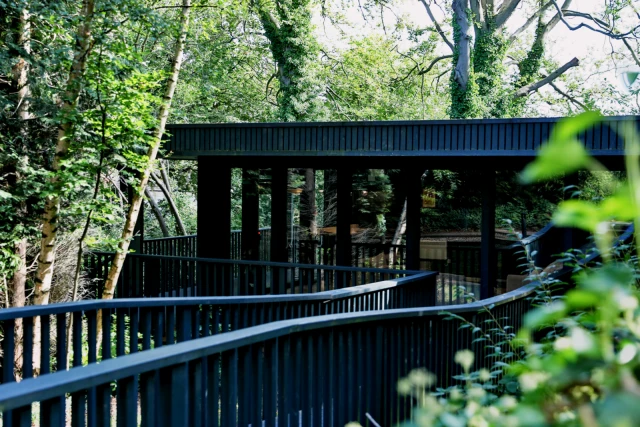 Beech Gardens 1