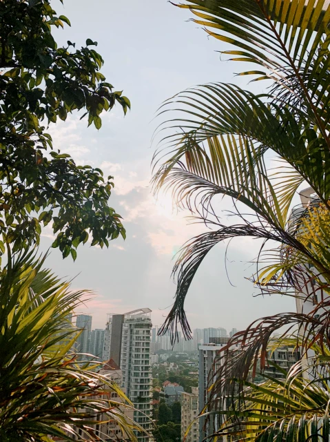 Mutiara Crest 4