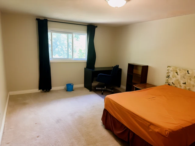 加拿大伦敦市 2