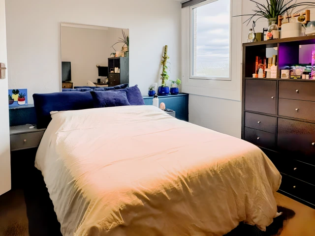 Palace Road 29401# 3