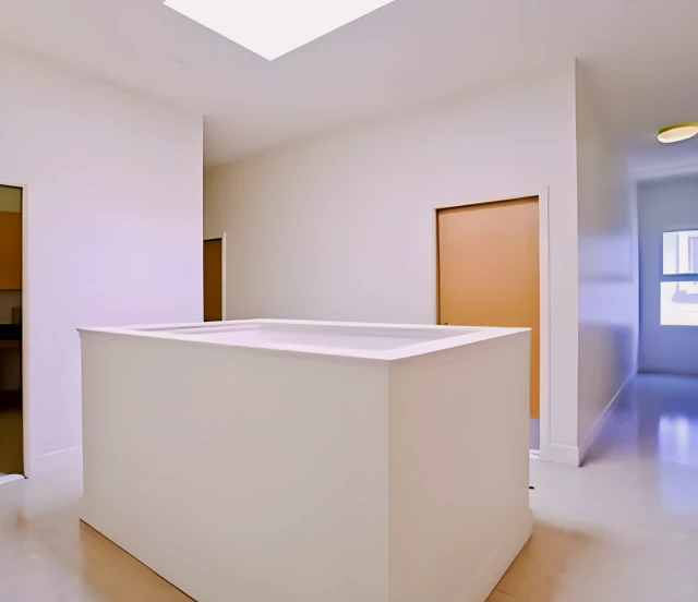 556 Green St. Residences 1