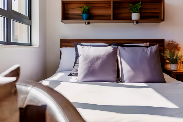uhomes.com | Student Accommodation, Housing, Flats, Apartments for Rent
