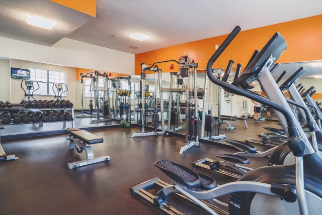 Alight Gainesville 4