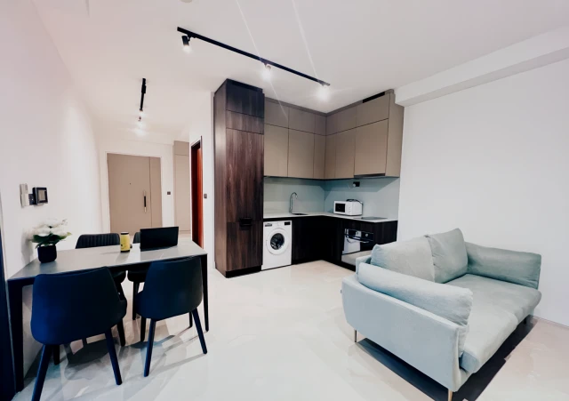22 Mohamed Sultan Rd 4