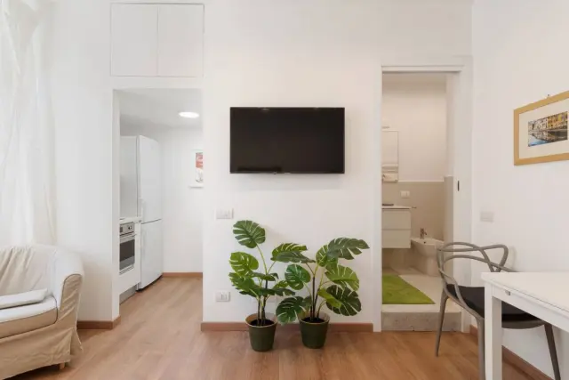 Amazing studio with botanic touch in the Center 4