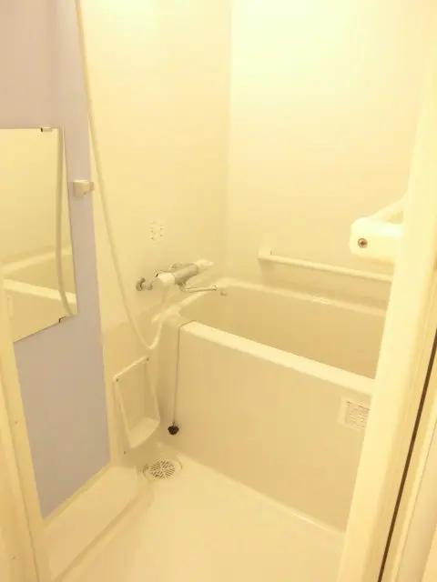 レオネクストやまとⅢ 107号室 3