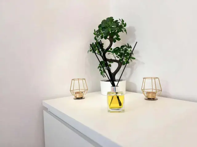 Monolocale Via rubens 9 1