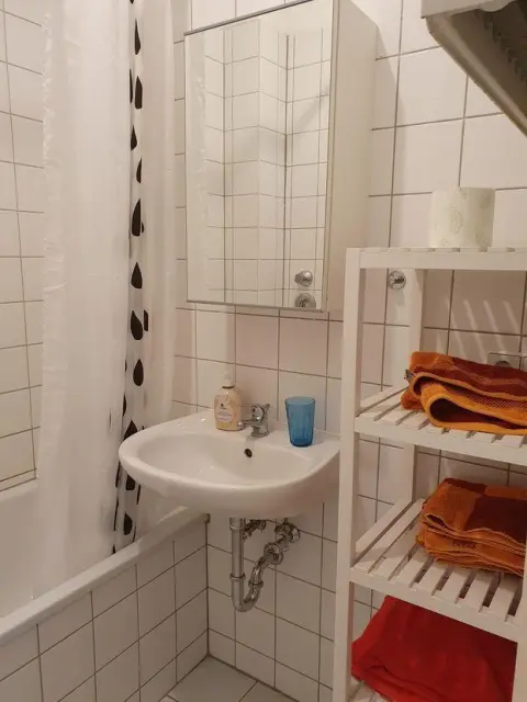 apartment in Mitte 4