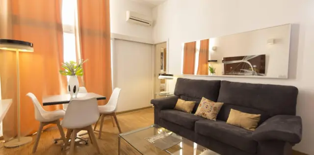 apartment in Sol (Centro) 4