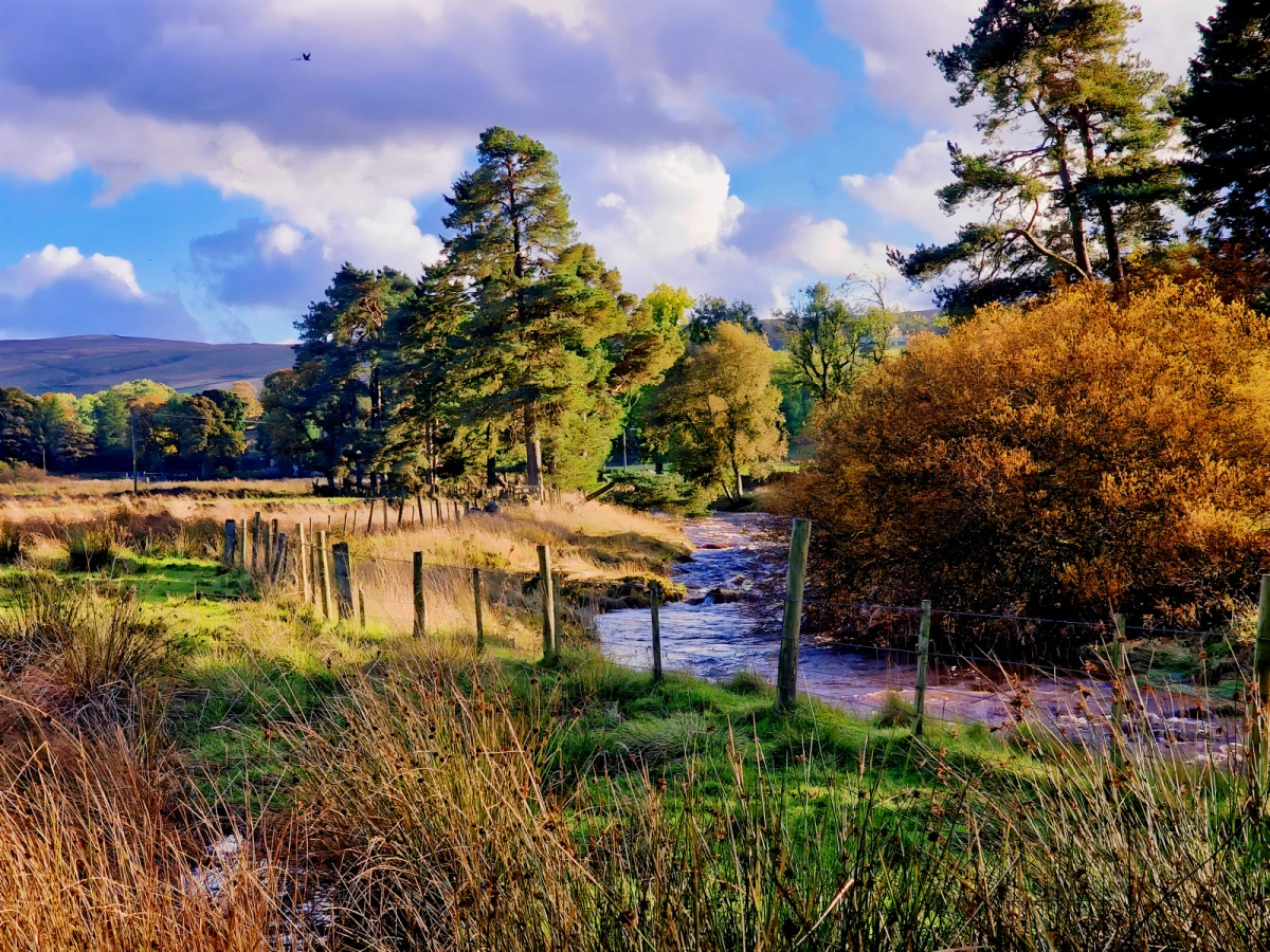 Colleton Cottage at Lovelady Shield 0