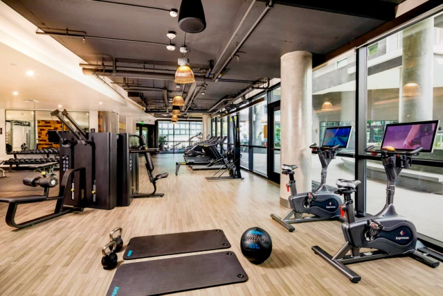 The Rise Hollywood 2