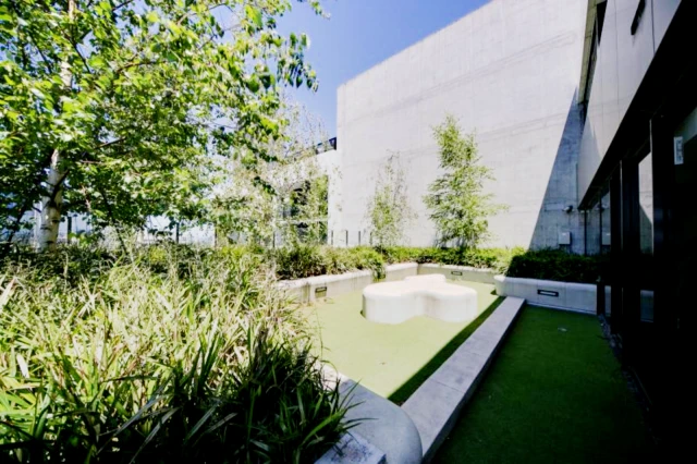 apartment near Mckenzie Street 4