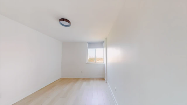 919 Dufferin 4