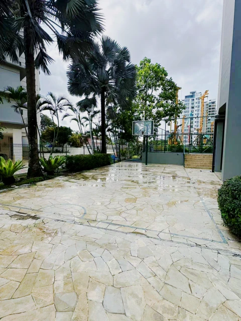 Paradise Palms - AN 4
