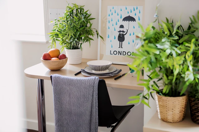 uhomes.com | Student Accommodation, Housing, Flats, Apartments for Rent