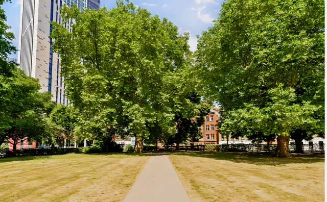LH-Lawn Lane 4