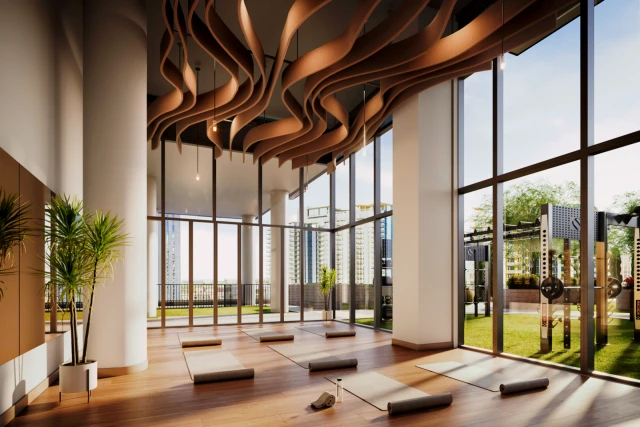 SOL Modern 4