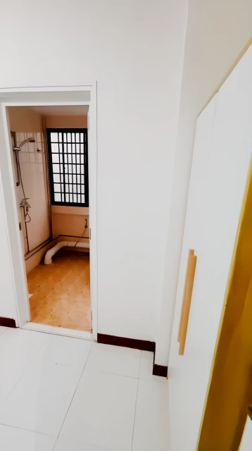 Lucky Plaza Apartment - X3 2