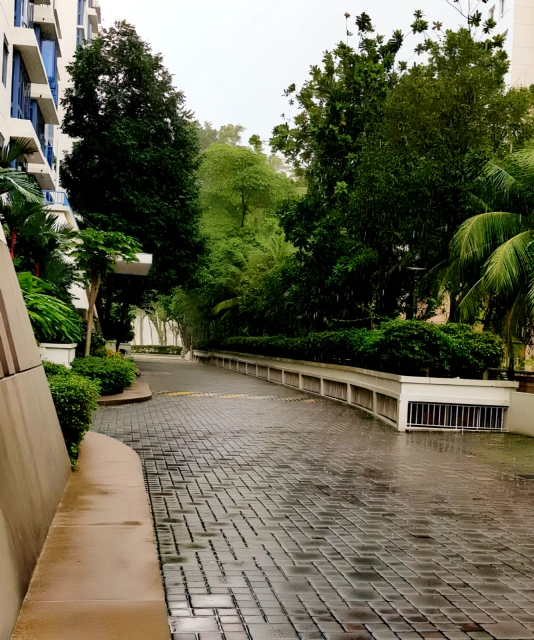 Parkshore 1