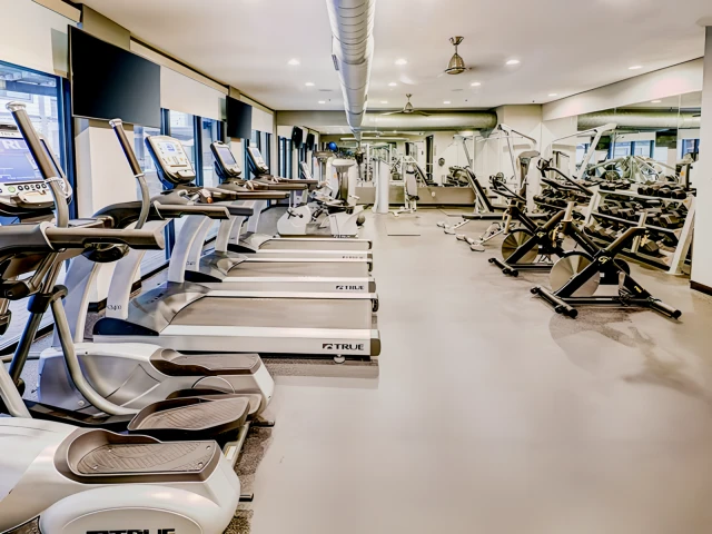 The Crest at Pearl 4