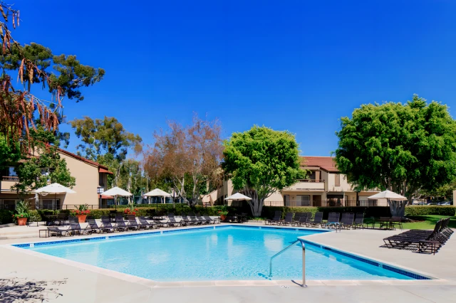 Harvard & Cornell Court