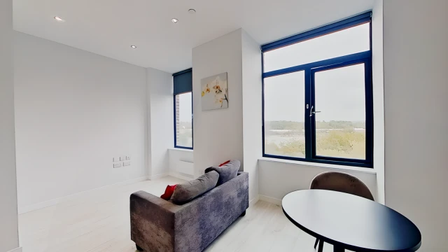 Goodman Street 29713# 3