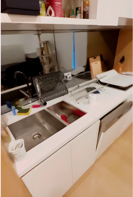 25 Geddes Ave Zetland 1