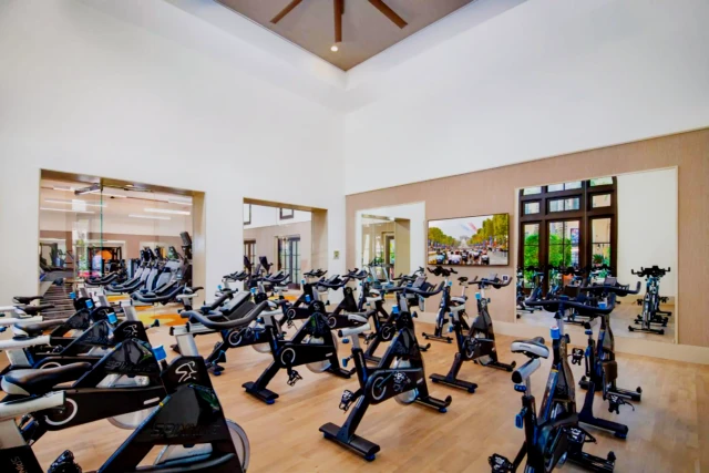 The Village at Irvine Spectrum 1