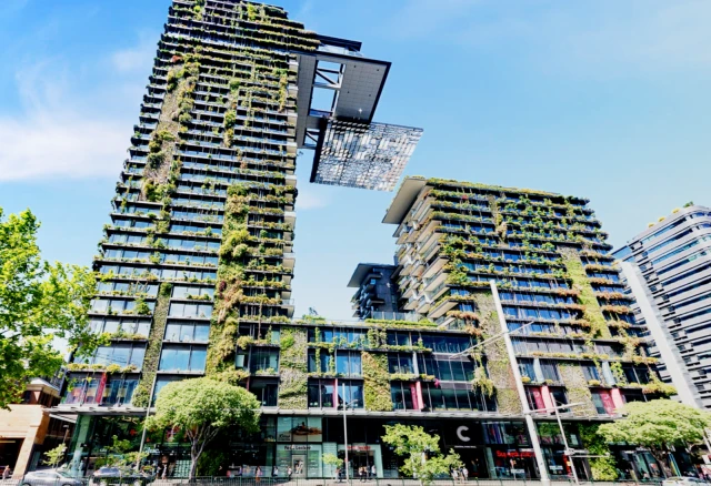 3 Carlton Street 2