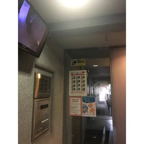 クリスタルパレスオニタカ 4