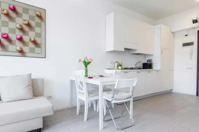 Apartment in Via Lodovico Mancini 1