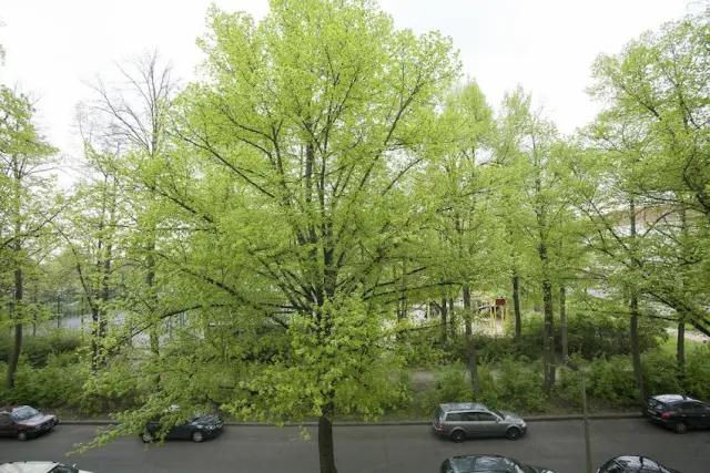 apartment in Schöneberg 1
