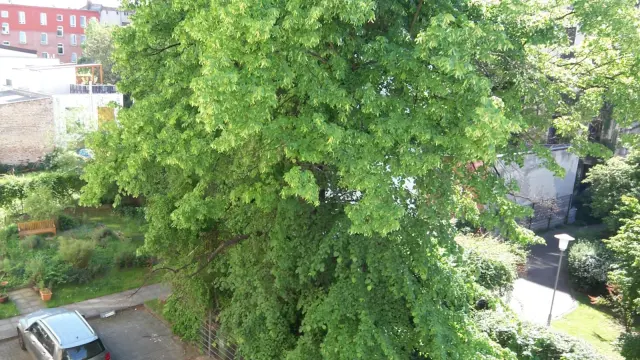 apartment in Friedrichshain 0