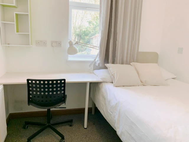 86 Walsall Street, CV4 8EY - コヴェントリーの学生向け宿泊施設 - Room 5