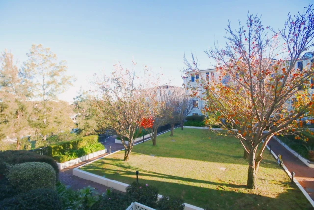 217/4 Bechert Road,Chiswick,New South Wales 2046 3