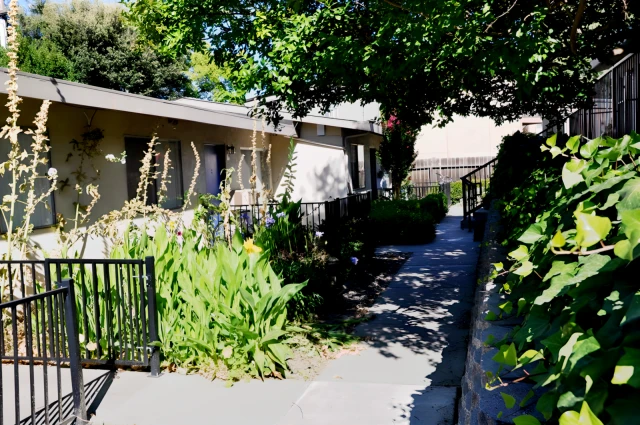 Sherwood & Forest Arms Apartments 4