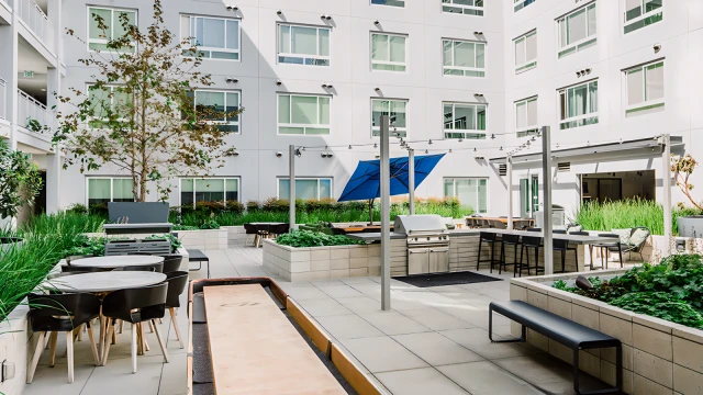 Axis DTLA 2