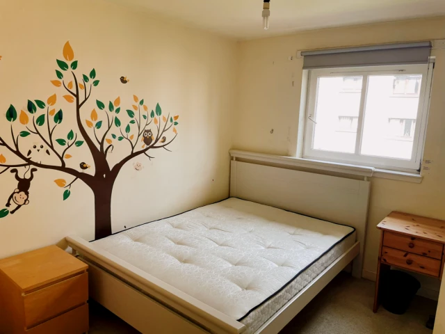 Glasgow rental 2B1B near University of Glasgow, University of Strathclyde,and Royal Conservatoire of Scotland 4