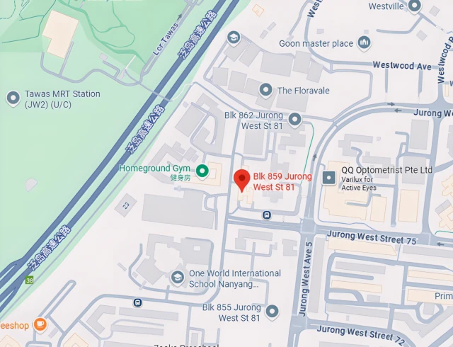 859 Jurong West Street 81 3