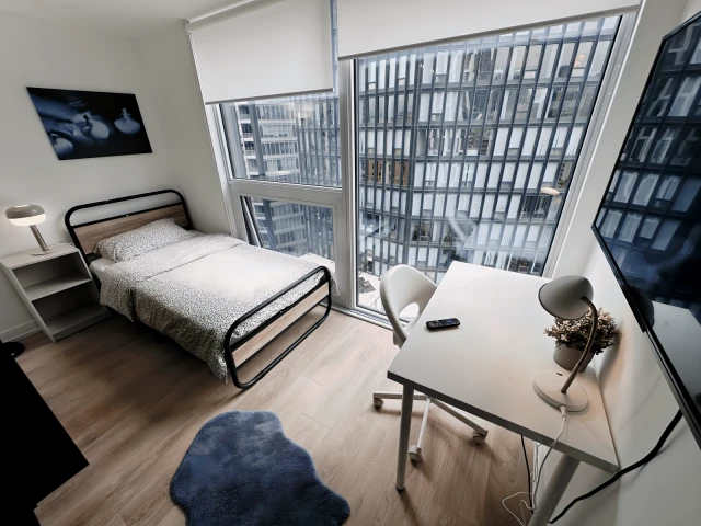 Pearson Housing - Dalhousie - Toronto student accommodation - Flex Plus