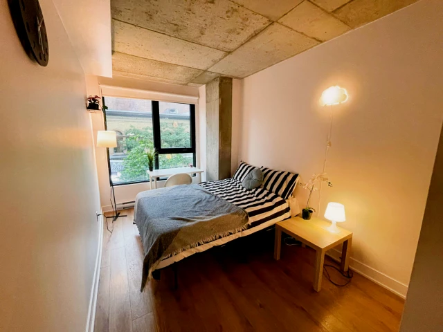 Harrington Housing - Dominik