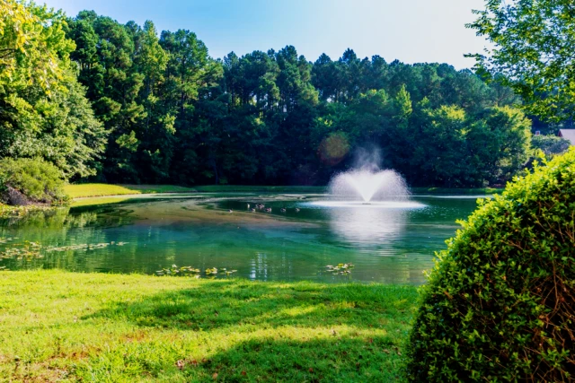 Crosstown at Chapel Hill 4