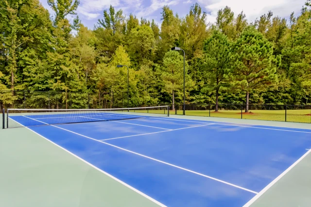 Preserve at Forest Creek 2